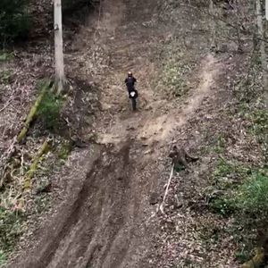 Meet your Posher, Darian